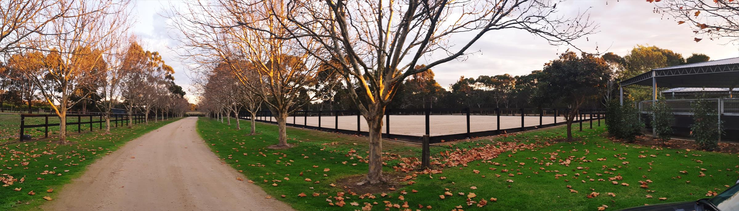 Arena & Roundyard Arena & Roundyard
